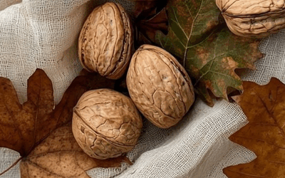 Bien-être et beauté en novembre : routines pour la peau et le moral