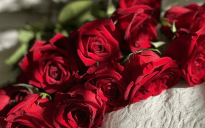 Saint-Valentin : célébrer l’amour autrement chez Bio Détente