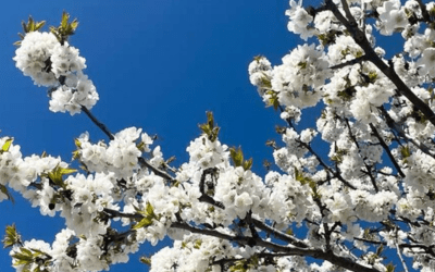 Préparer sa peau à l’arrivée des beaux jours au Centre Bio Détente